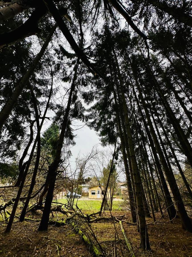 Ferienhaus Biber Godendorf  Exterior foto